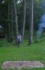 DSCN0862.JPG